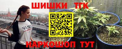 мдма Новодвинск