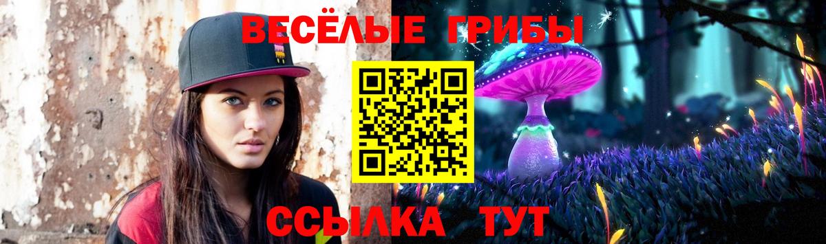 Псилоцибиновые грибы MAGIC MUSHROOMS  Вход с VPN  цены наркотик  Березники 